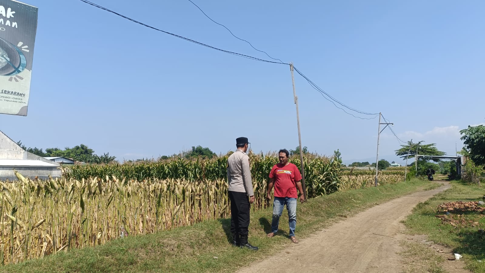 Polisi Sambangi Petani Jagung di Triwung Kidul, Perkuat Ketahanan Pangan Nasional