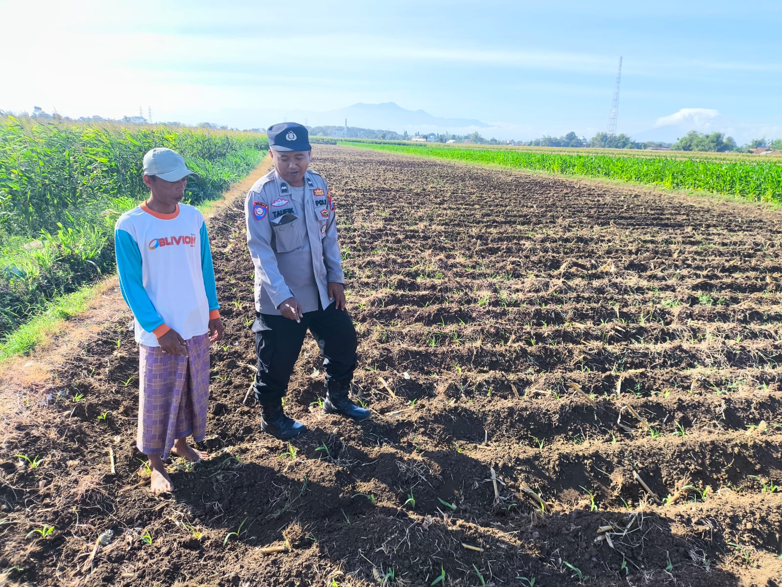 Polisi Pantau Lahan Jagung 4.000 Meter Persegi di Kedopok, Perkuat Ketahanan Pangan Nasional