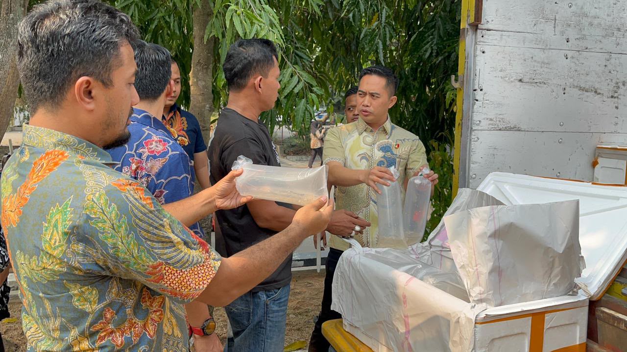 Polda Banten Gagalkan Pengiriman 150 Ribu Benih Bening Lobster, Satu Truk Diamankan